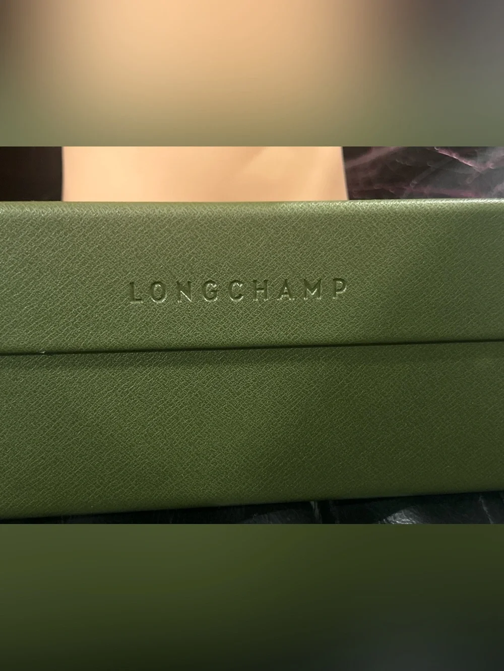Longchamp Olive Green Leather Men's Pouch